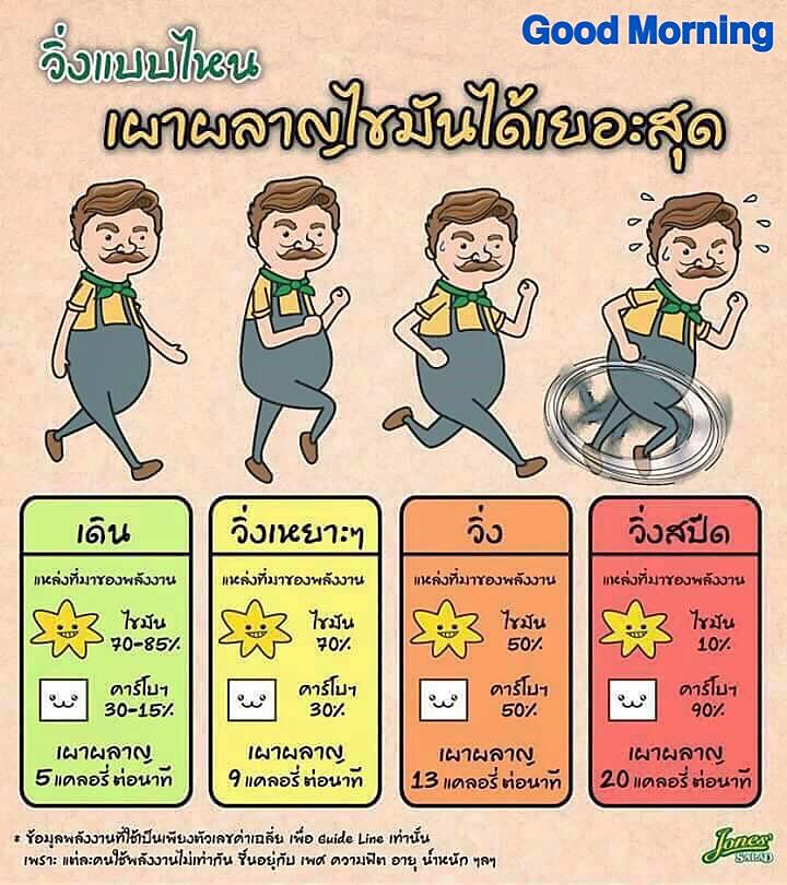 เผาผลาญไขมันหน้าท้อง