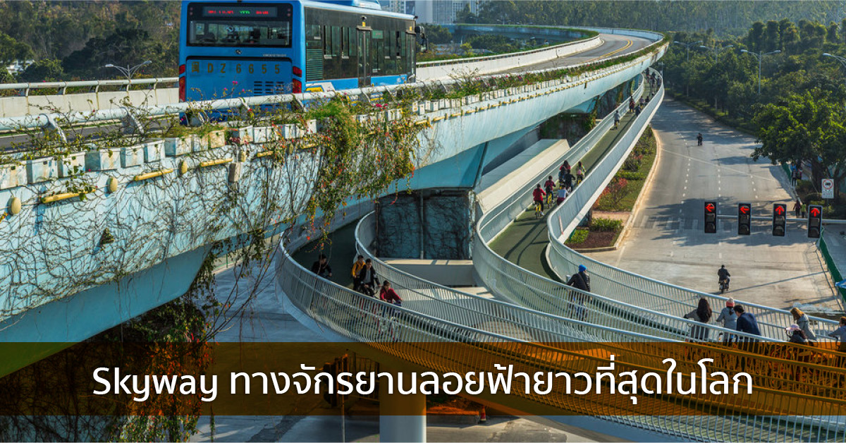 skyway  ทางจักรยานลอยฟ้า ยาวที่สุดในโลก