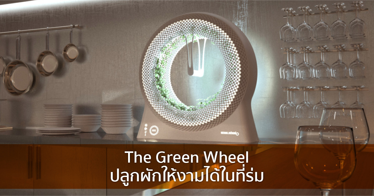 The Green Wheel ปลูกผักให้งามได้ในที่ร่ม