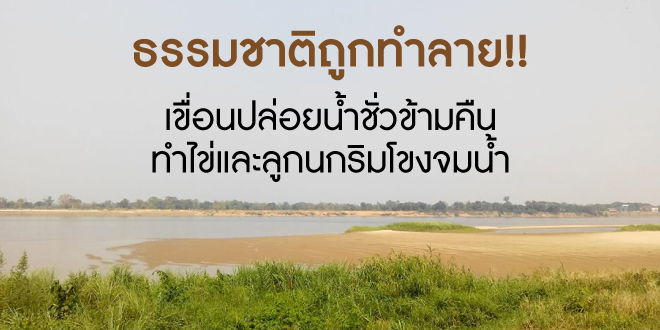 ธรรมชาติถูกทำลาย!! เขื่อนปล่อยน้ำชั่วข้ามคืน ทำไข่และลูกนกริมโขงจมน้ำ