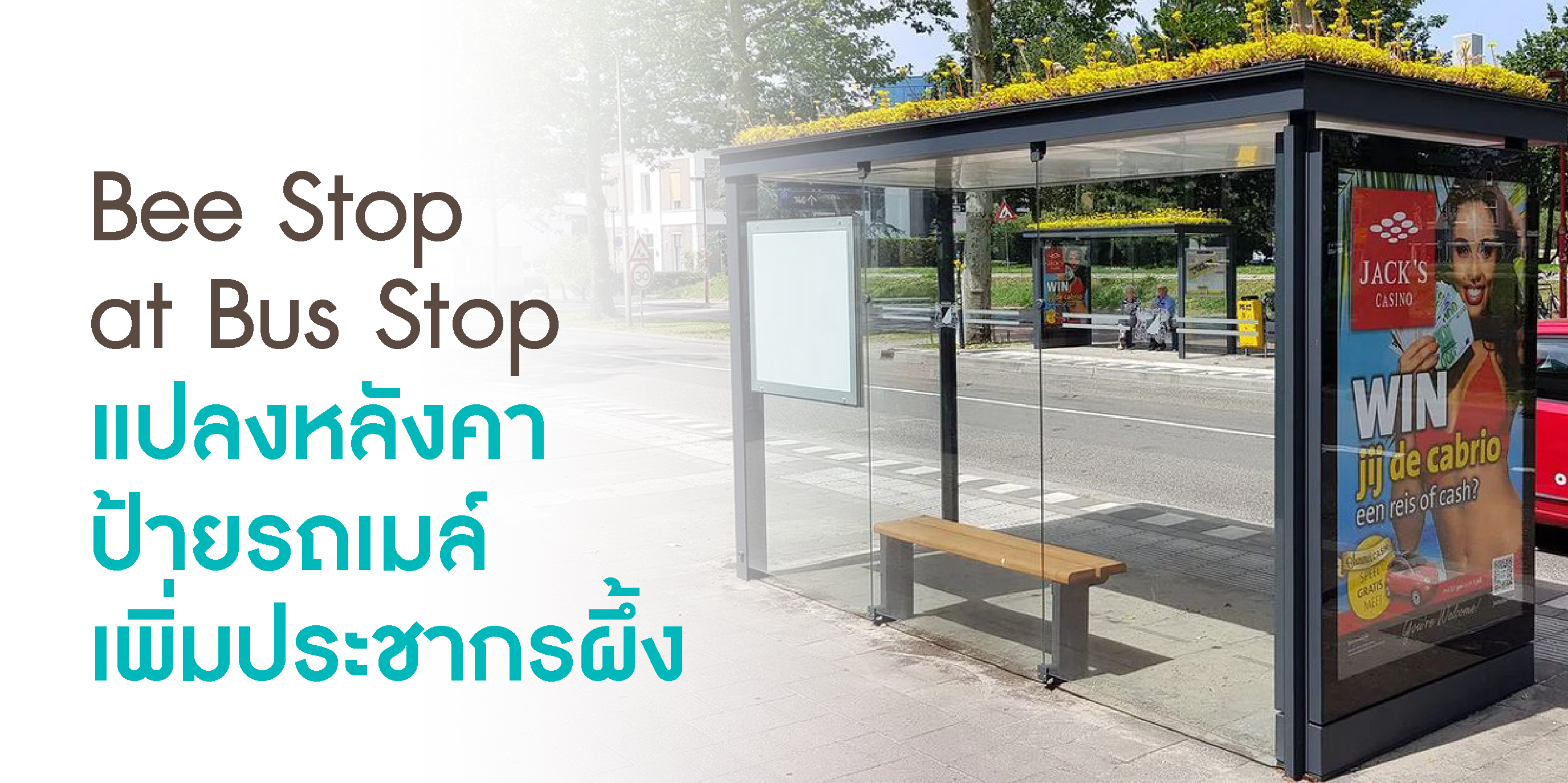 Bee Stop at Bus Stop แปลงหลังคาป้ายรถเมล์เพิ่มประชากรผึ้ง