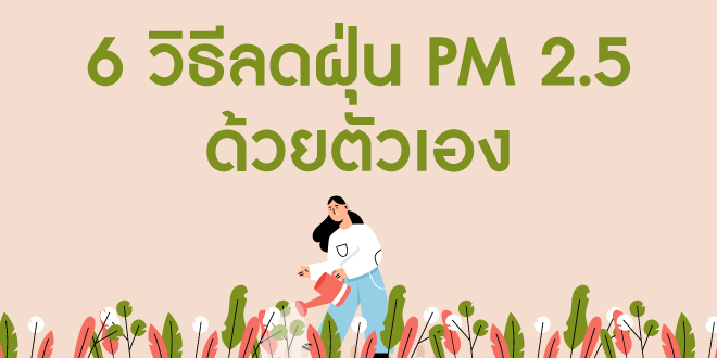 6 วิธีลดฝุ่น pm 2.5 ด้วยตัวเอง