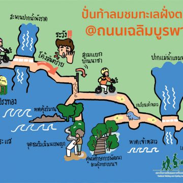 ปั่นท้าลมชมทะเลฝั่งตะวันออก @ถนนเฉลิมบูรพาชลทิต